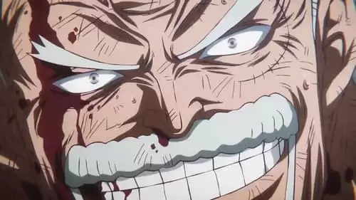 One Piece: Temporada 22 Episodio 1122